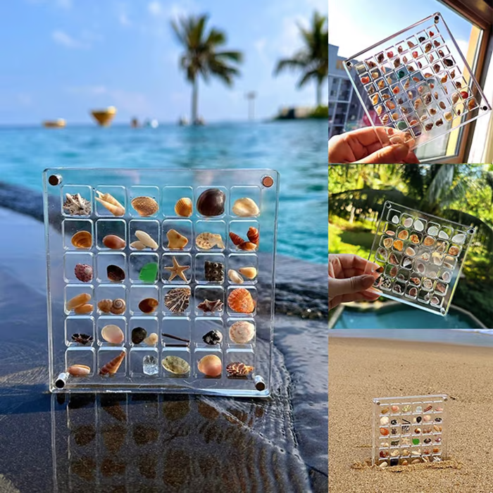 Acrylic Magnetic Shell Display Box