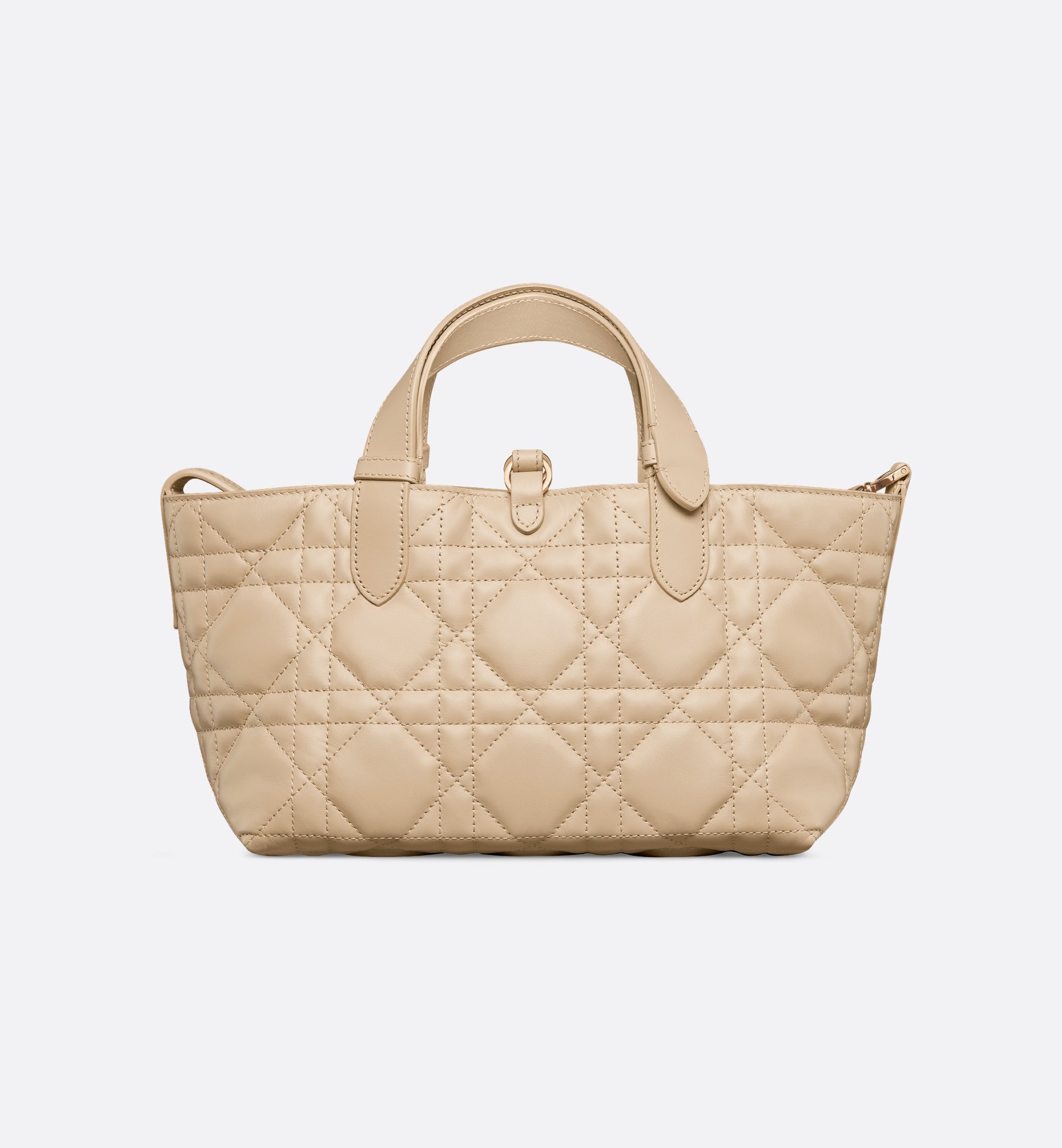 Dior Small Dior Toujours Bag M2822OSNW_M51U