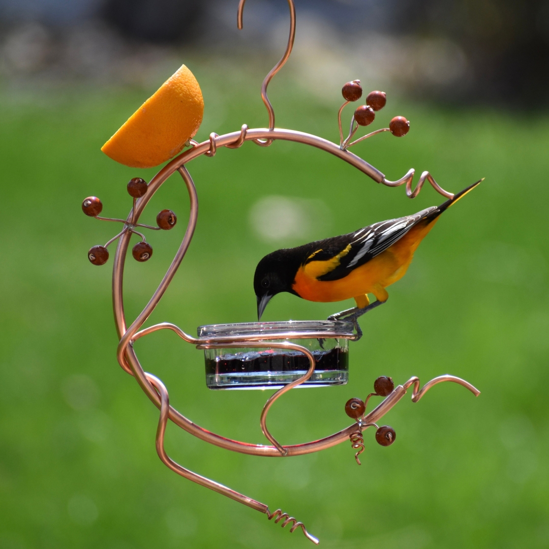 🔥Mother's Day Promotion-[SAVE 50% OFF]🎉🔥Coppervine Red Berry bird Feeder-BUY 3 GET 1 FREE & GET EXTRA 15% OFF