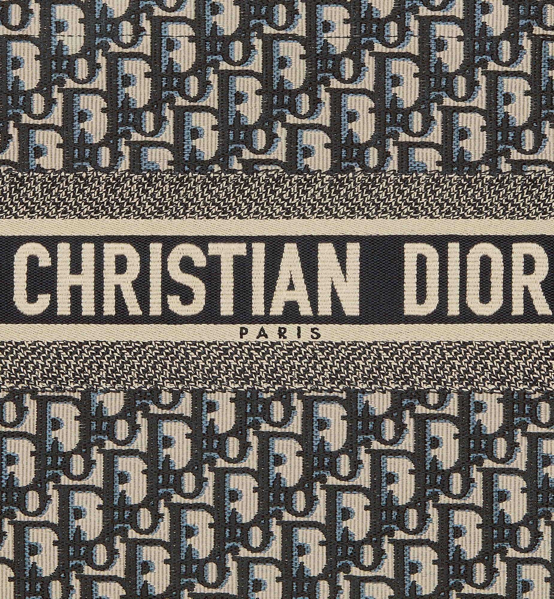 Dior Medium Book Tote Bag M1296ZRIW_M828