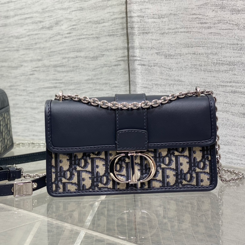 Dior Montaigne 30 East West Chain Bag