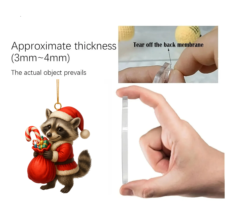 Raccoon Advent Calendar 2025