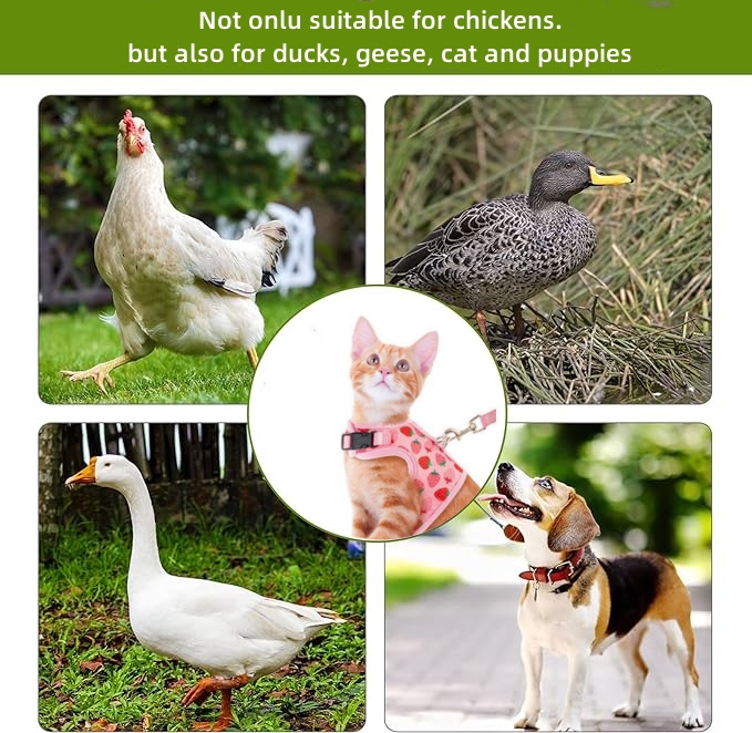 HOT SALE🔥Adjustable Chicken Harness