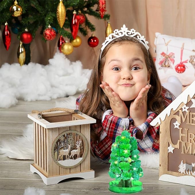 Magic Growing Christmas Tree