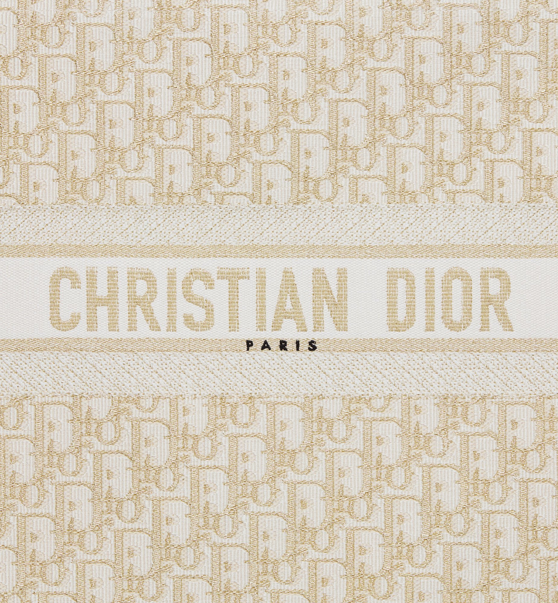 Dior Large Book Tote Bag M1286ZTQR_M981