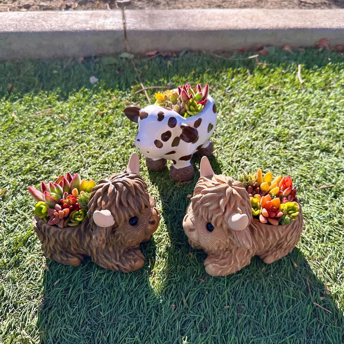 Mini Highland Cow Succulent Pot