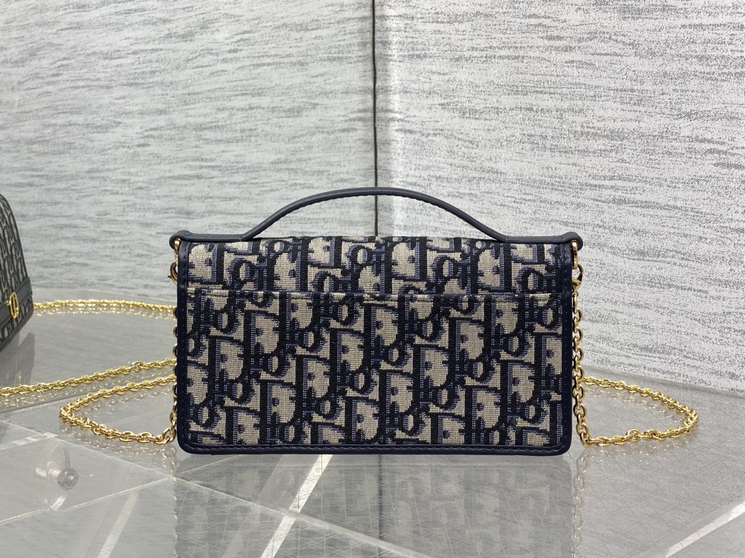 Dior 30 Montaigne Cigale Chain Bag