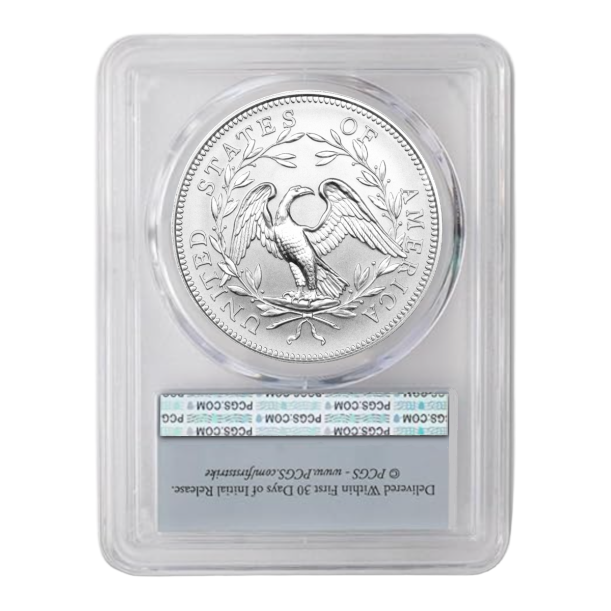 1 Oz 2025 Liberty Flowing Hair Dollar Silver – Pure Silver • Limited Release • Limited-Time Factory Price