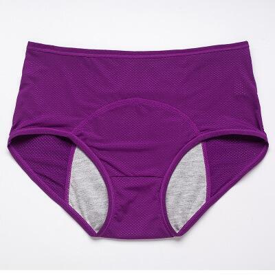 ON SALE🔥High Waist Leak Proof Panties 70% OFF Flash Sale