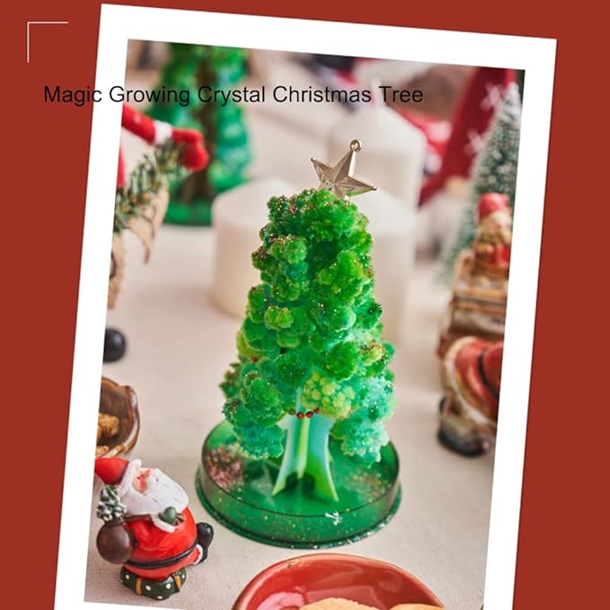 Magic Growing Christmas Tree