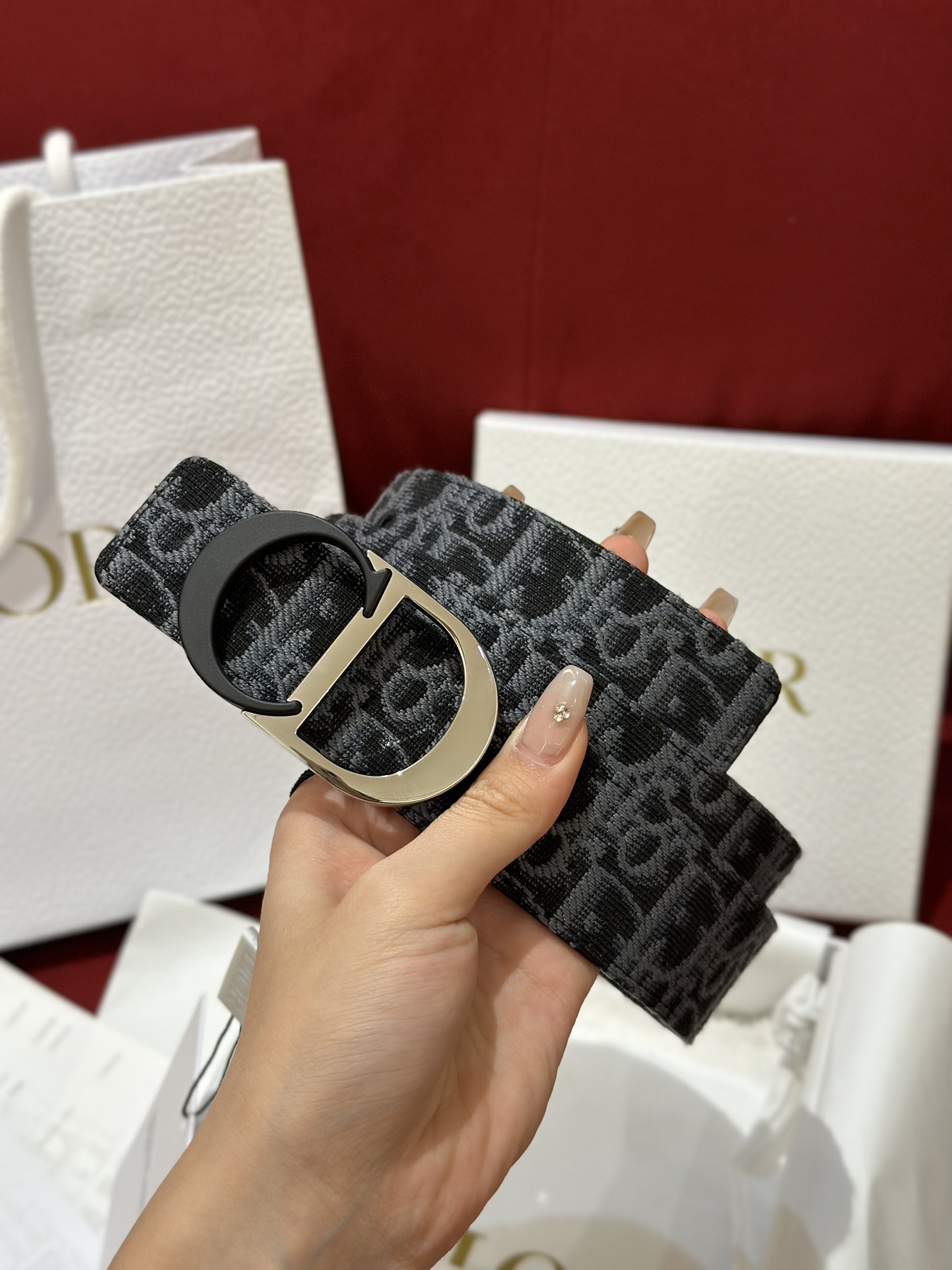 Dior CD Buckle Canvas Leather Belt 3.5CM Width