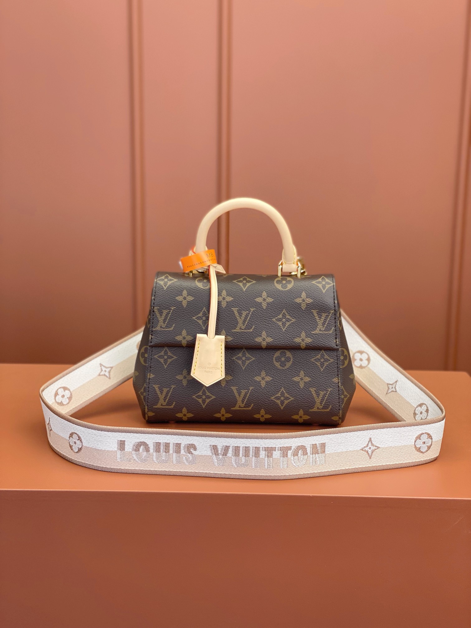 Louis Vuitton CLUNY Mini Bag M46055