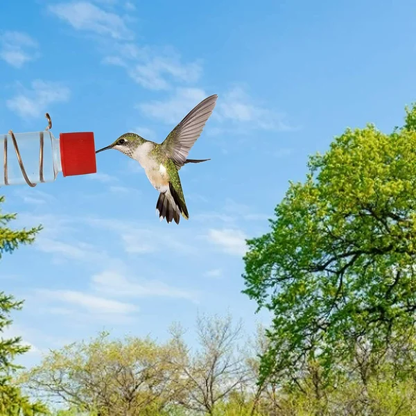 🔥HOT SALE 49% OFF🔥Suction cup bird feeder🐦