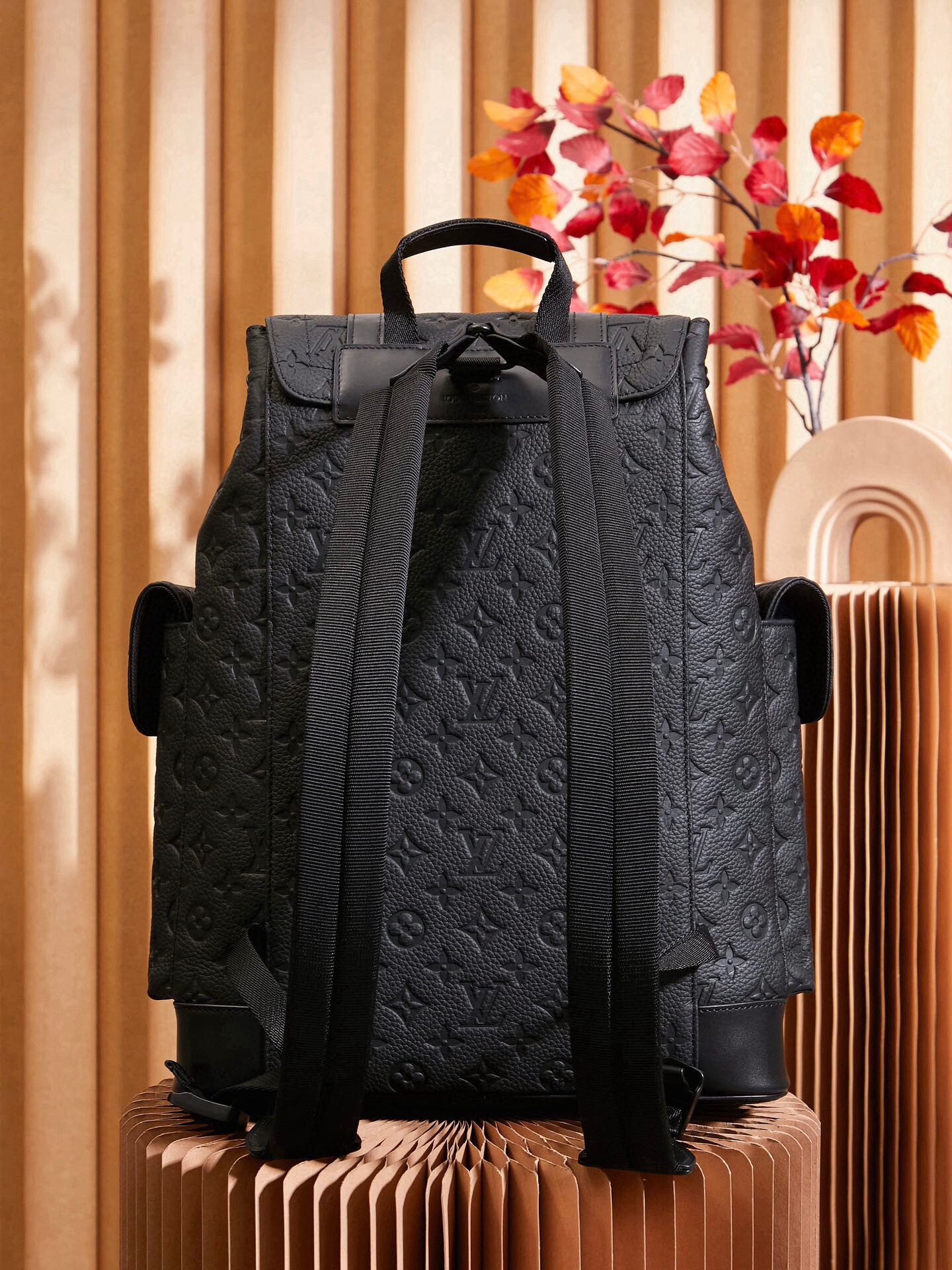 Louis Vuitton Christopher Medium Backpack M55699
