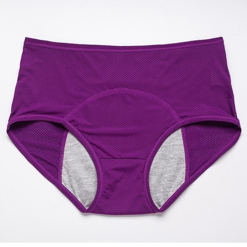 🔥Last Day BUY 2 GET 1/BUY 3 GET 2 🔥 - High-waisted Leak Proof Panties✨