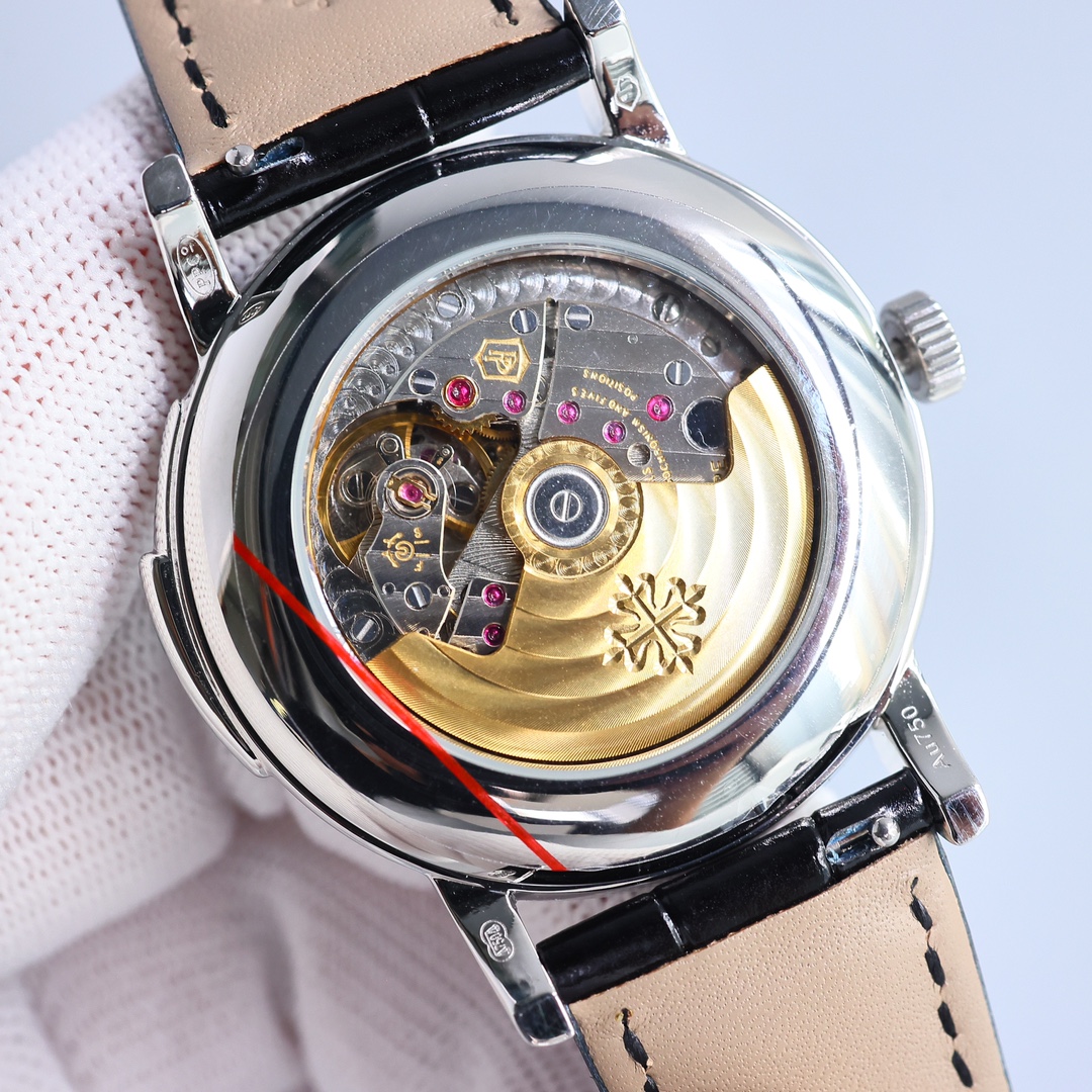 Patek Philippe TW Factory Complex Function Timepiece Series 5078 Watch