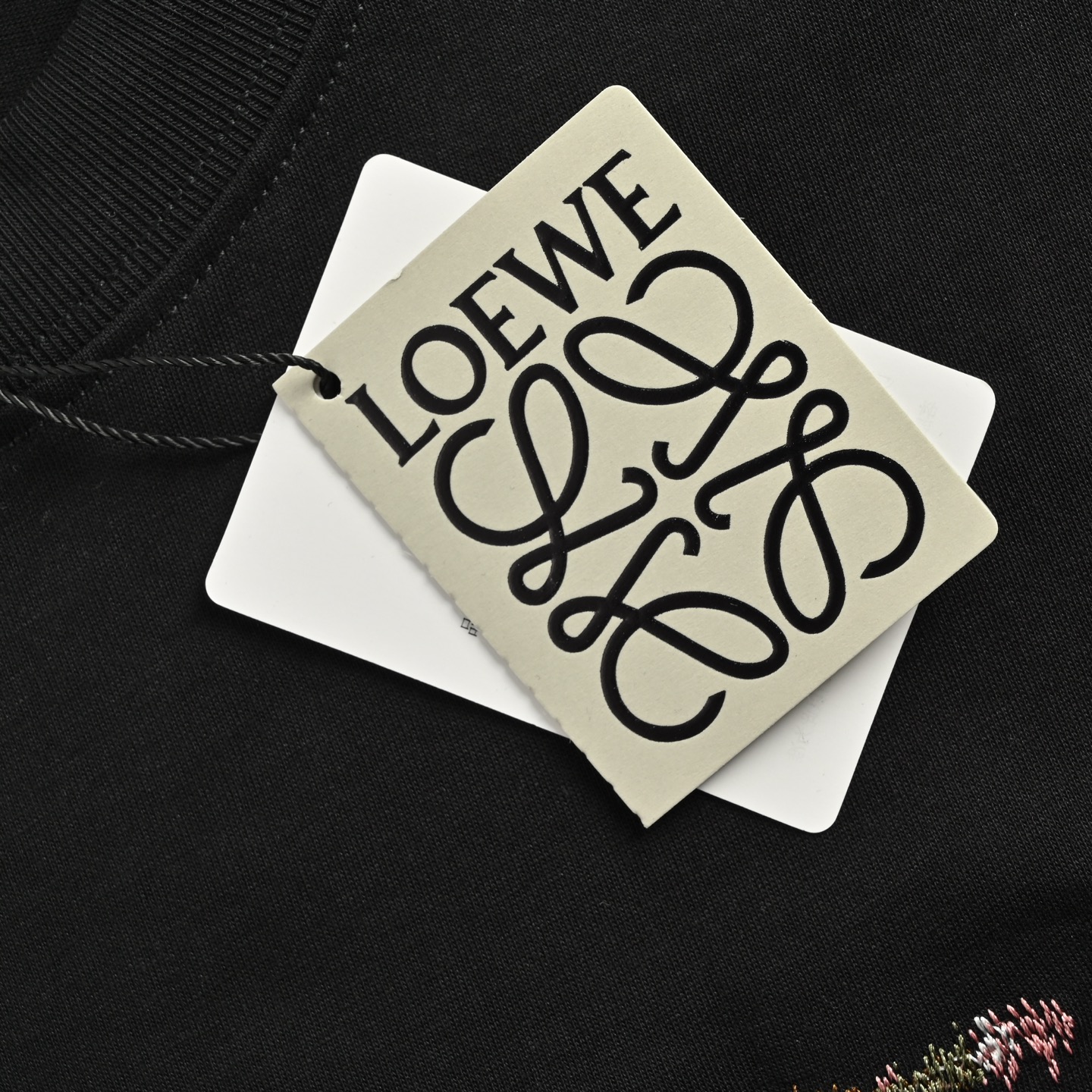 Loewe 25ss Loe gradient letter embroidered short sleeve