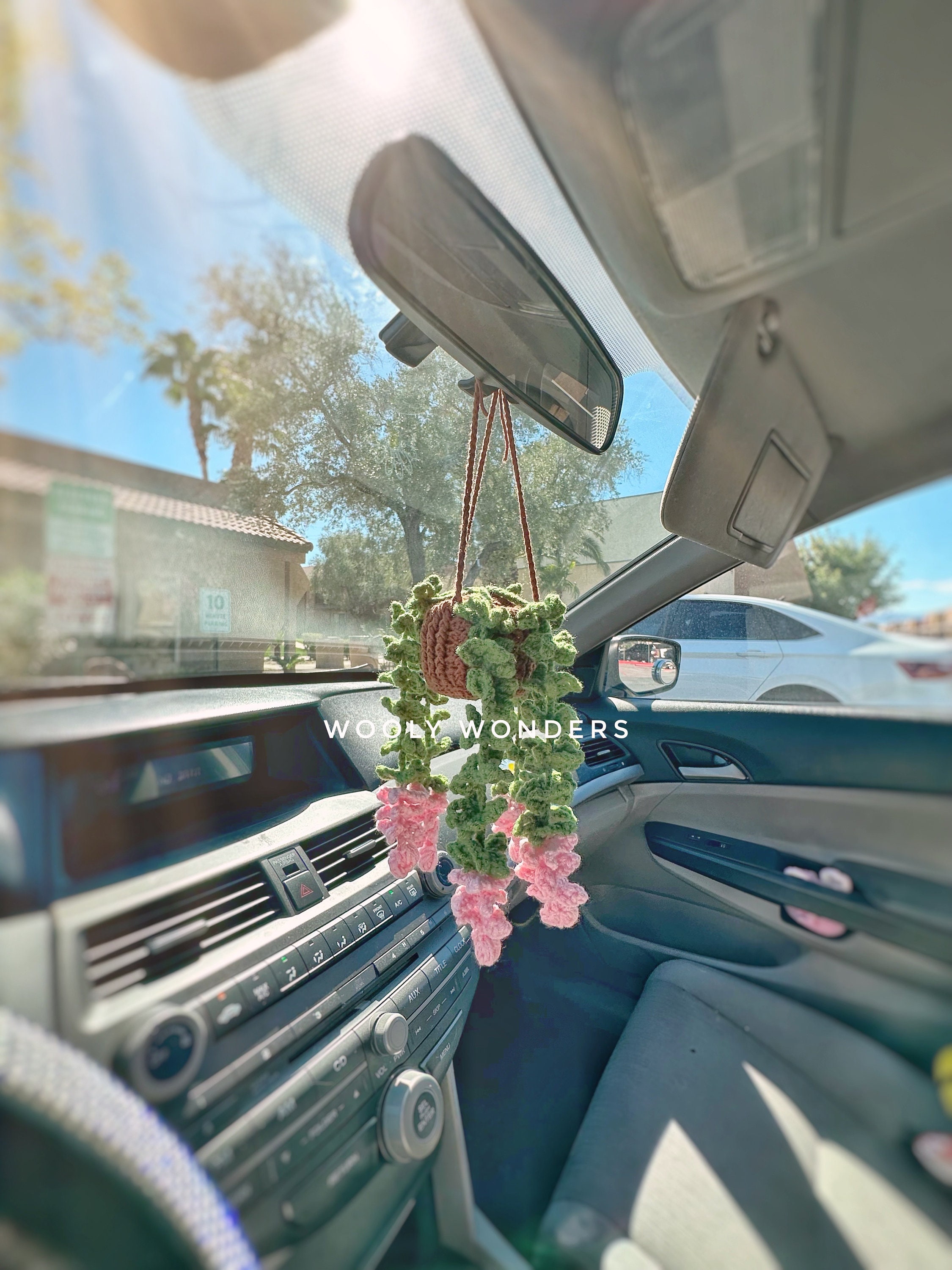 🌸Handcrafted Crochet Hanging Plants🌸