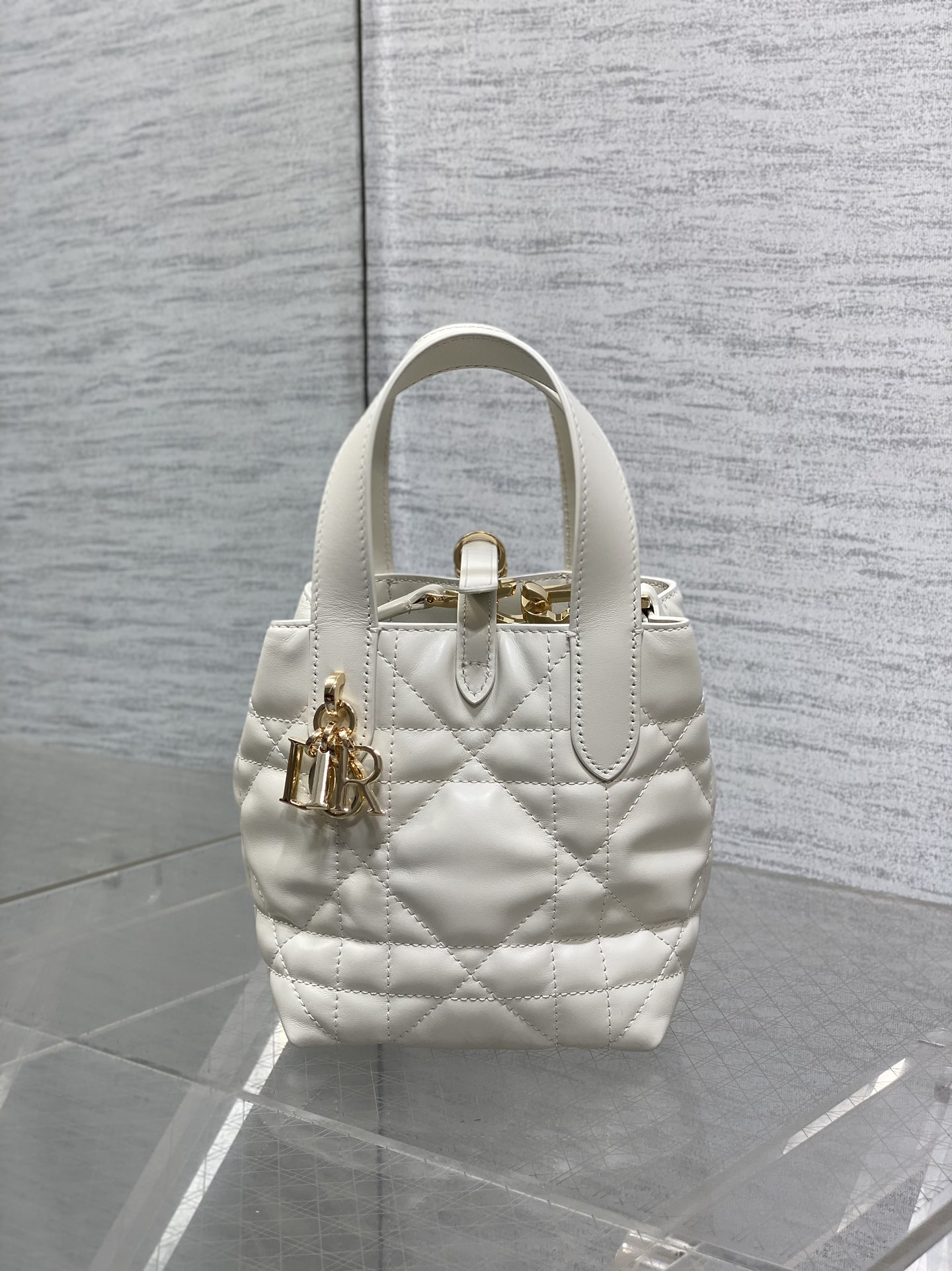 Dior Toujours vertical series mini