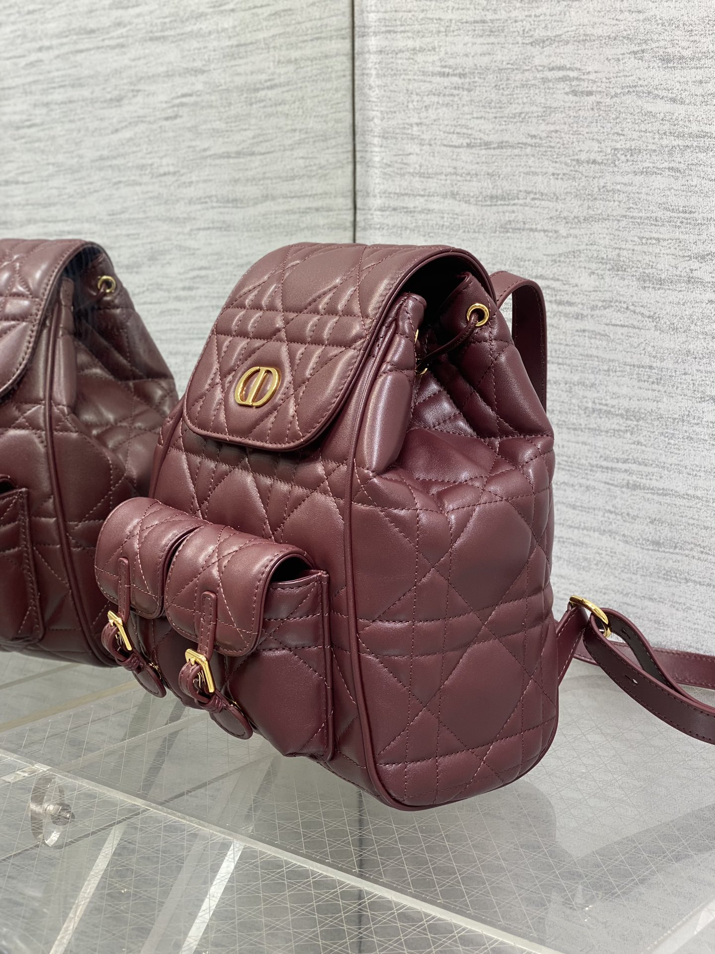 Dior Caro Fall/Winter Backpack