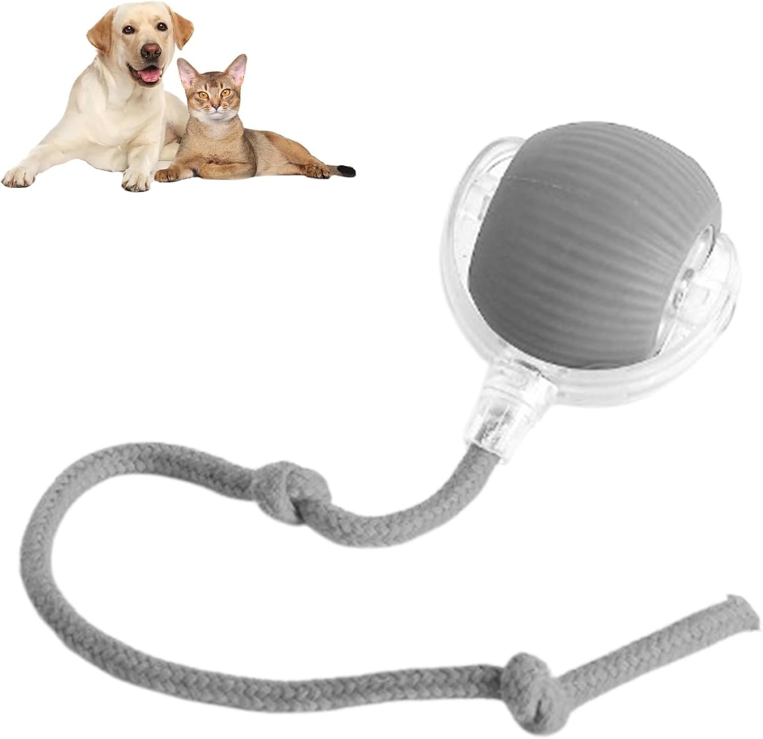 🔥Smart Interactive Pet Toy Ball🐾
