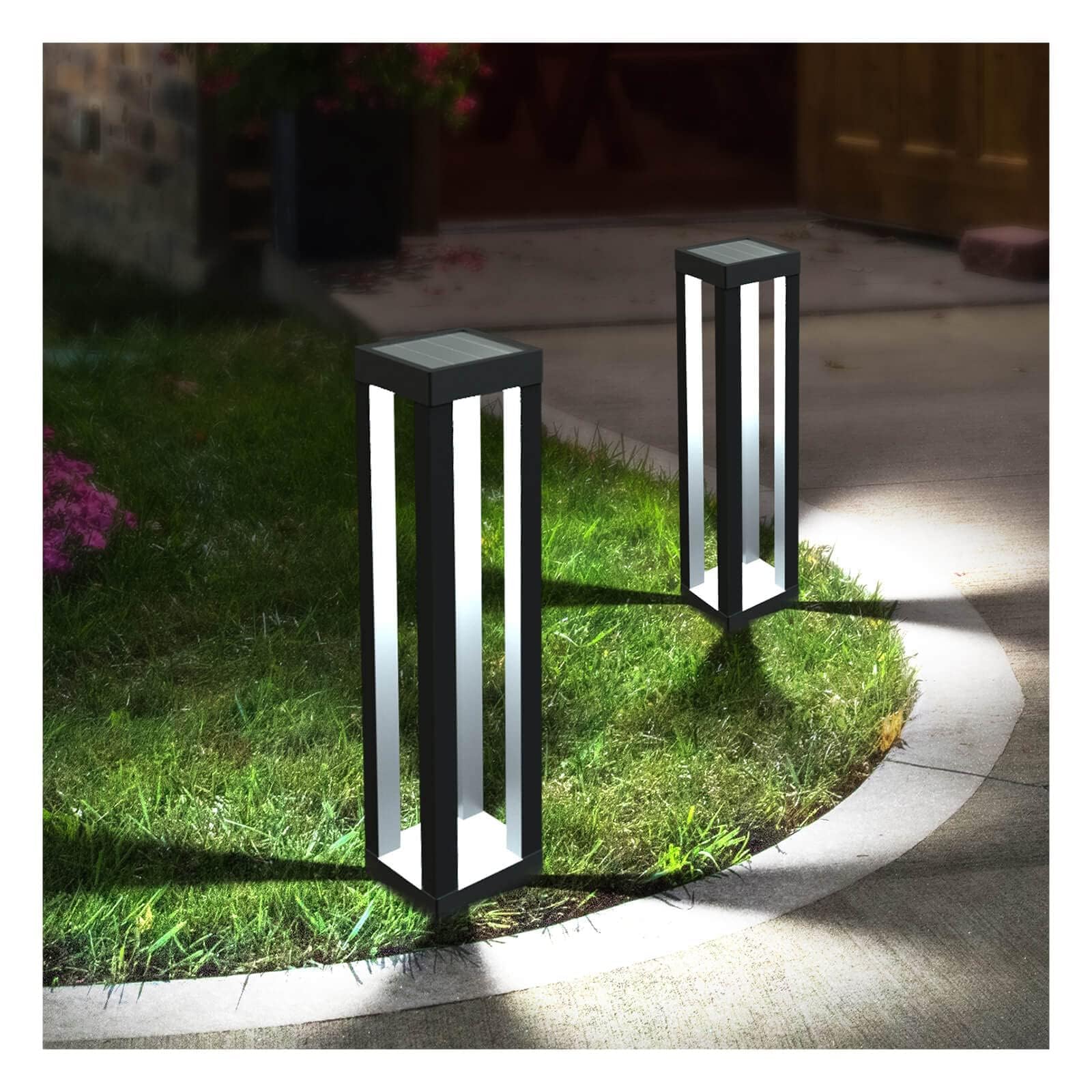 🔥ON SALE - 45% OFF🔥19