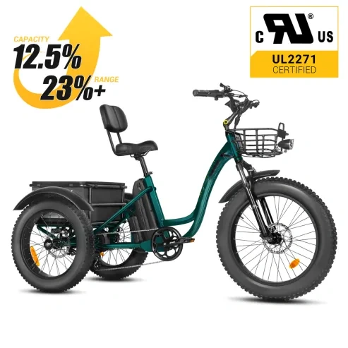 clearance sale💥[750W] Rear Drive Electric Trike Ver 2026