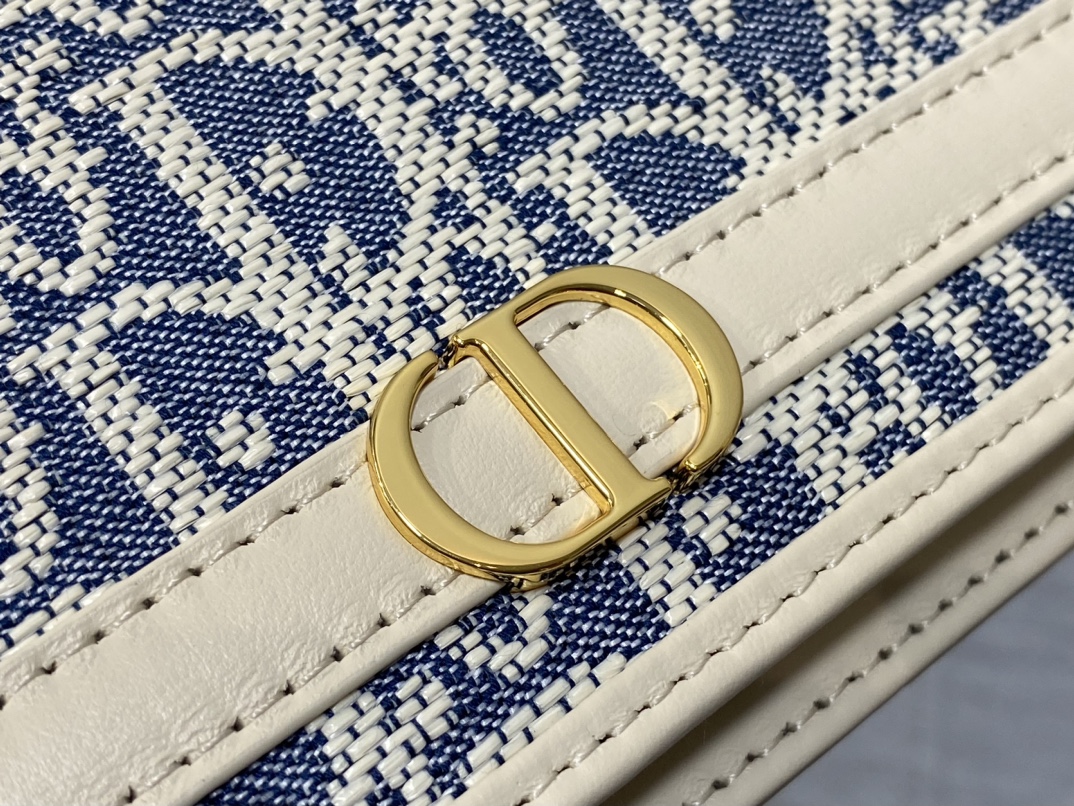 Dior 30 Montaigne Cigale Chain Bag