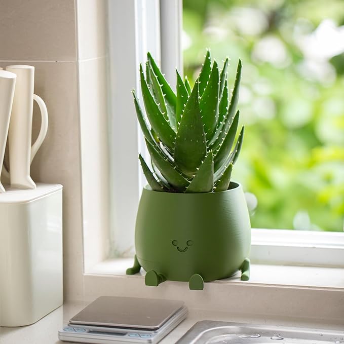 Cute Smiley Face Flower Pot💥 (Self-Watering Flower Pot with Drainage Hole)