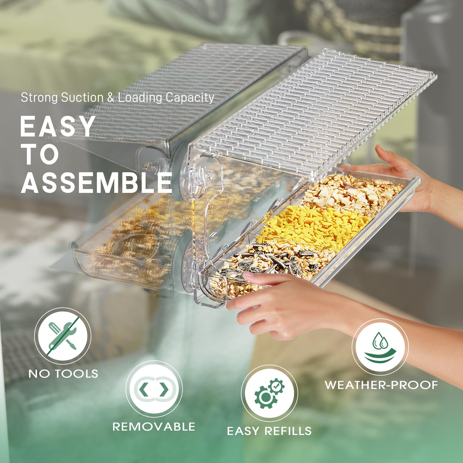 🔥Hot Sale🔥3-Compartment Tray Clear Window Bird Feeder-180° Clear View🐦✨