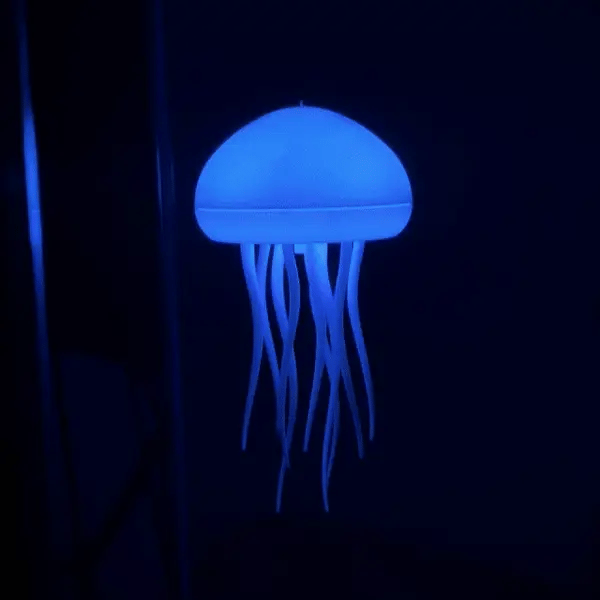 Jellyfish Lamp
