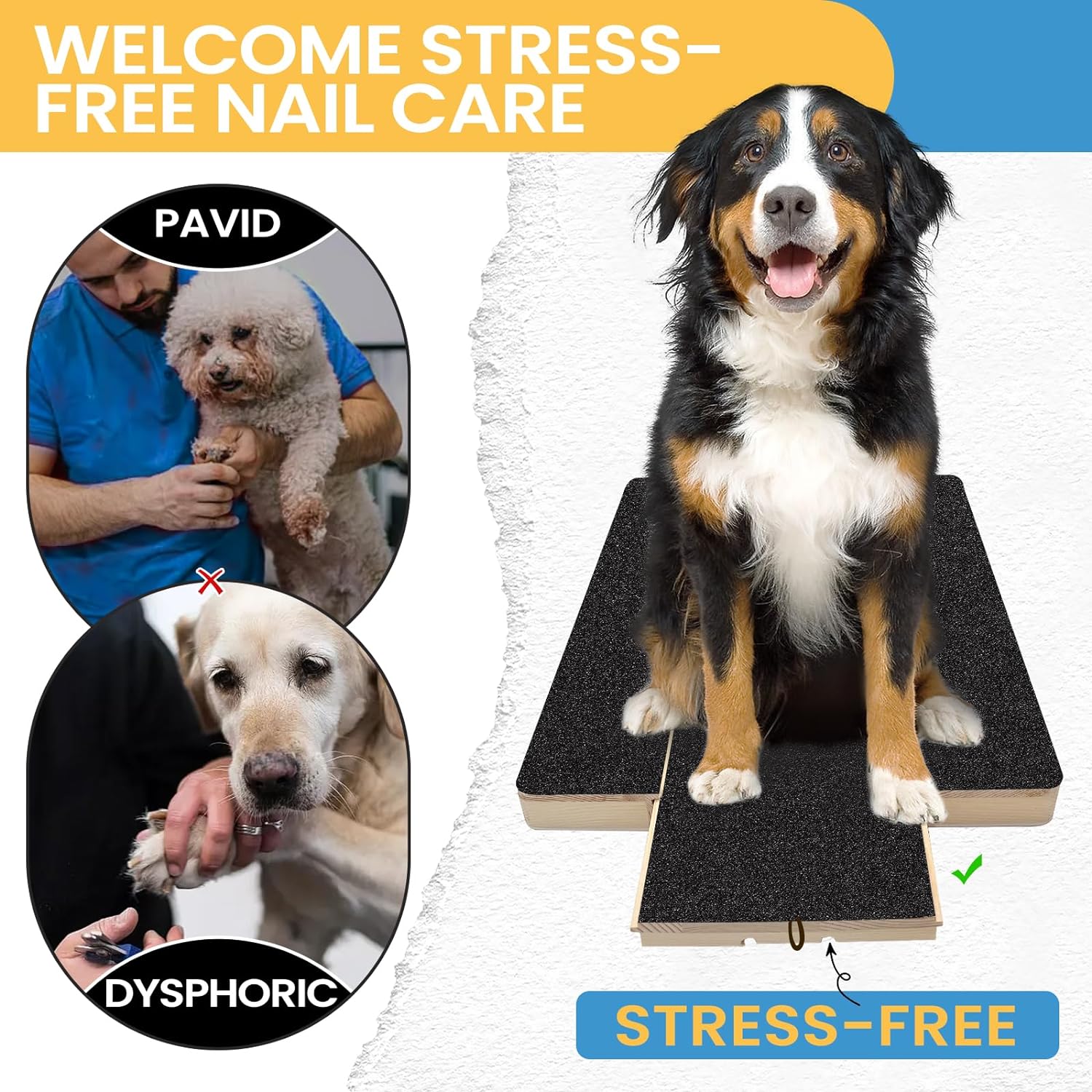 🔥Dog Paw Nail Scratch Pad - Dog Scratch Pad with Treat Box