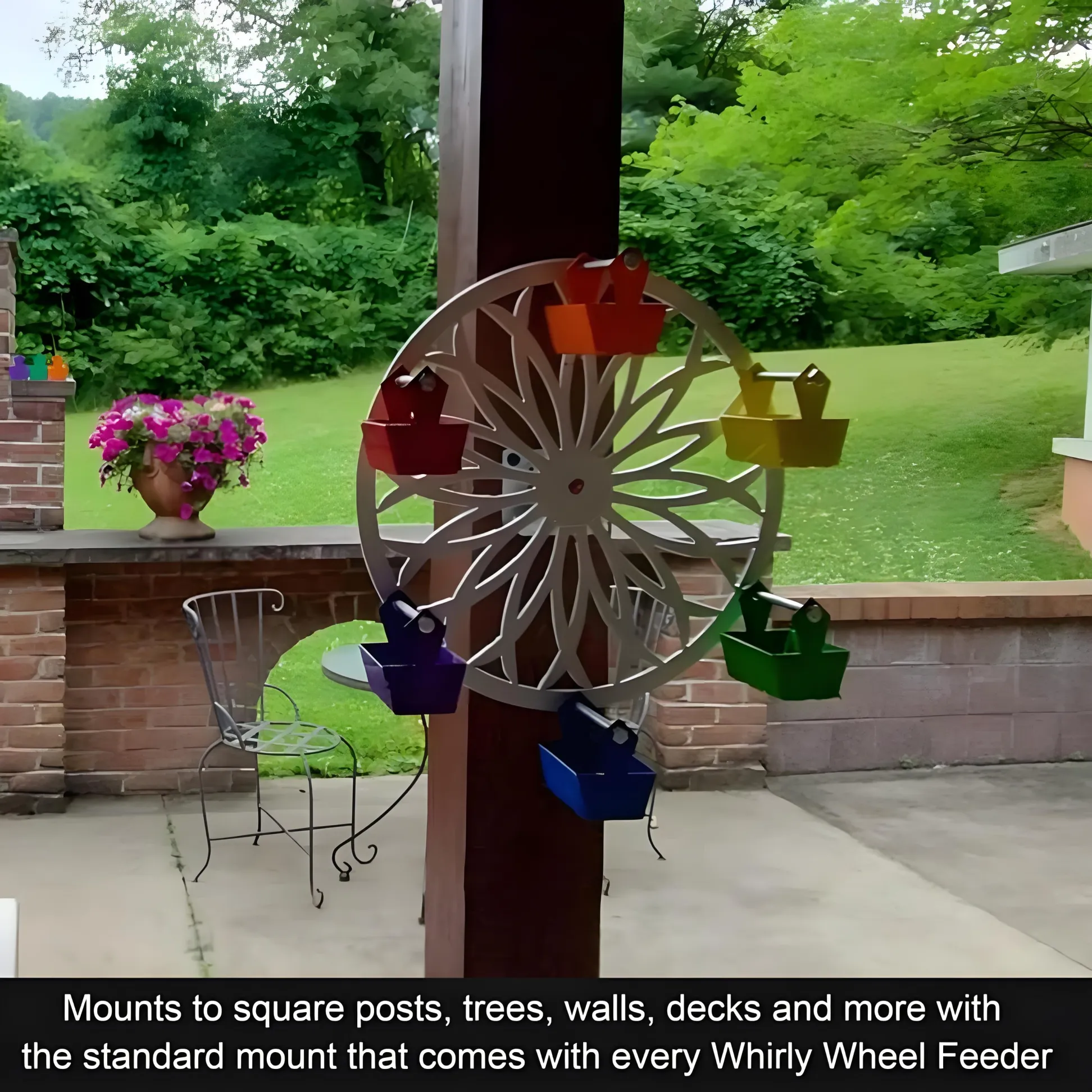 🔥ON SALE🔥New Arrived! The Ferris Wheel of Fun for Your Feathered Friends