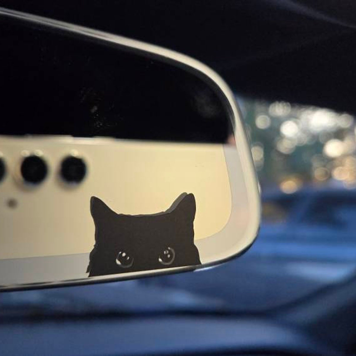 Cat Peeker Decal