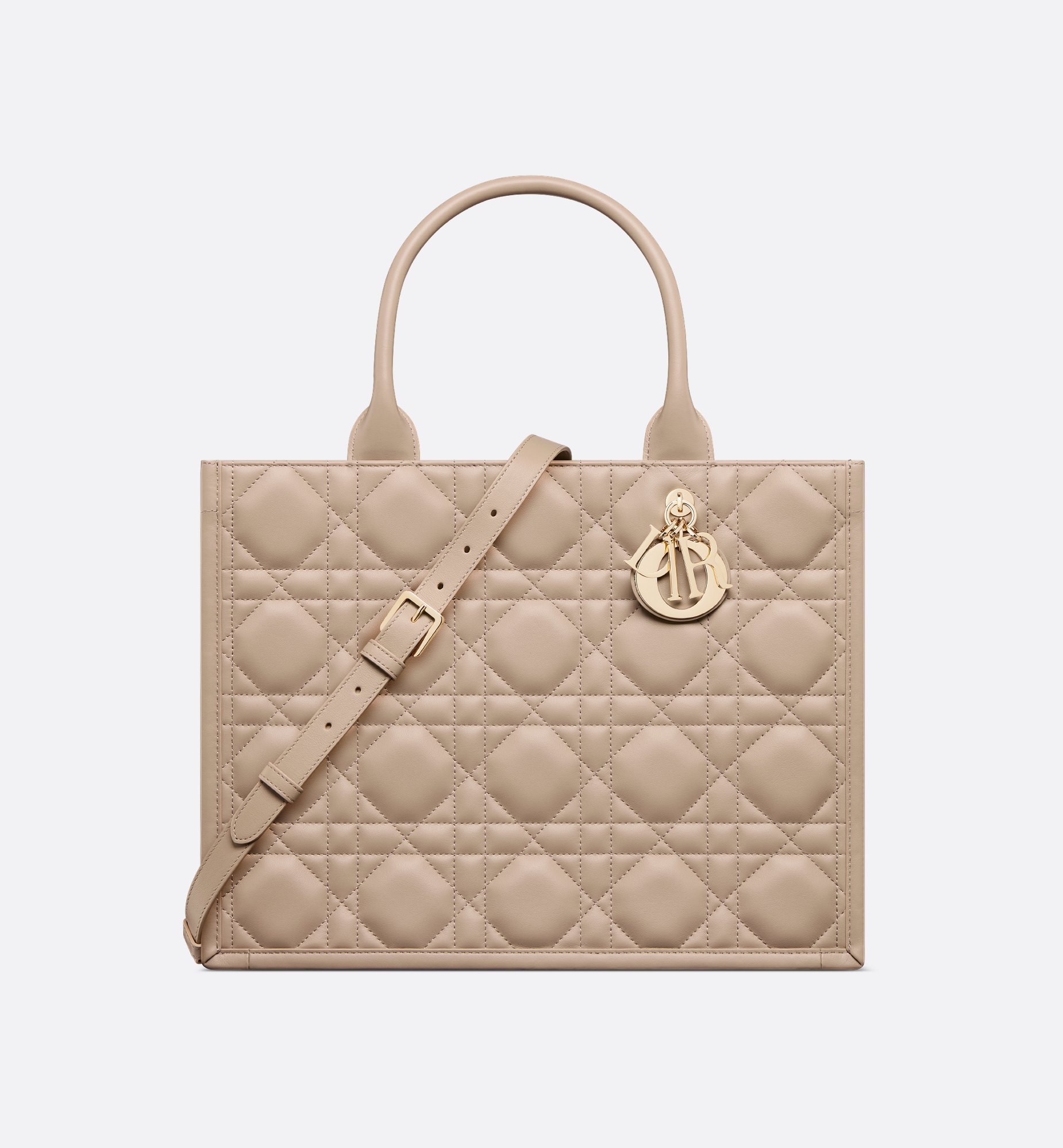 Dior Medium Book Tote Bag M1324OWHP_M59U