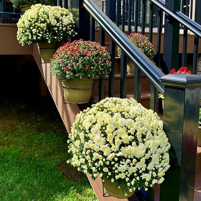 🎍🎍Vertical Railing Floating Plant Hangers