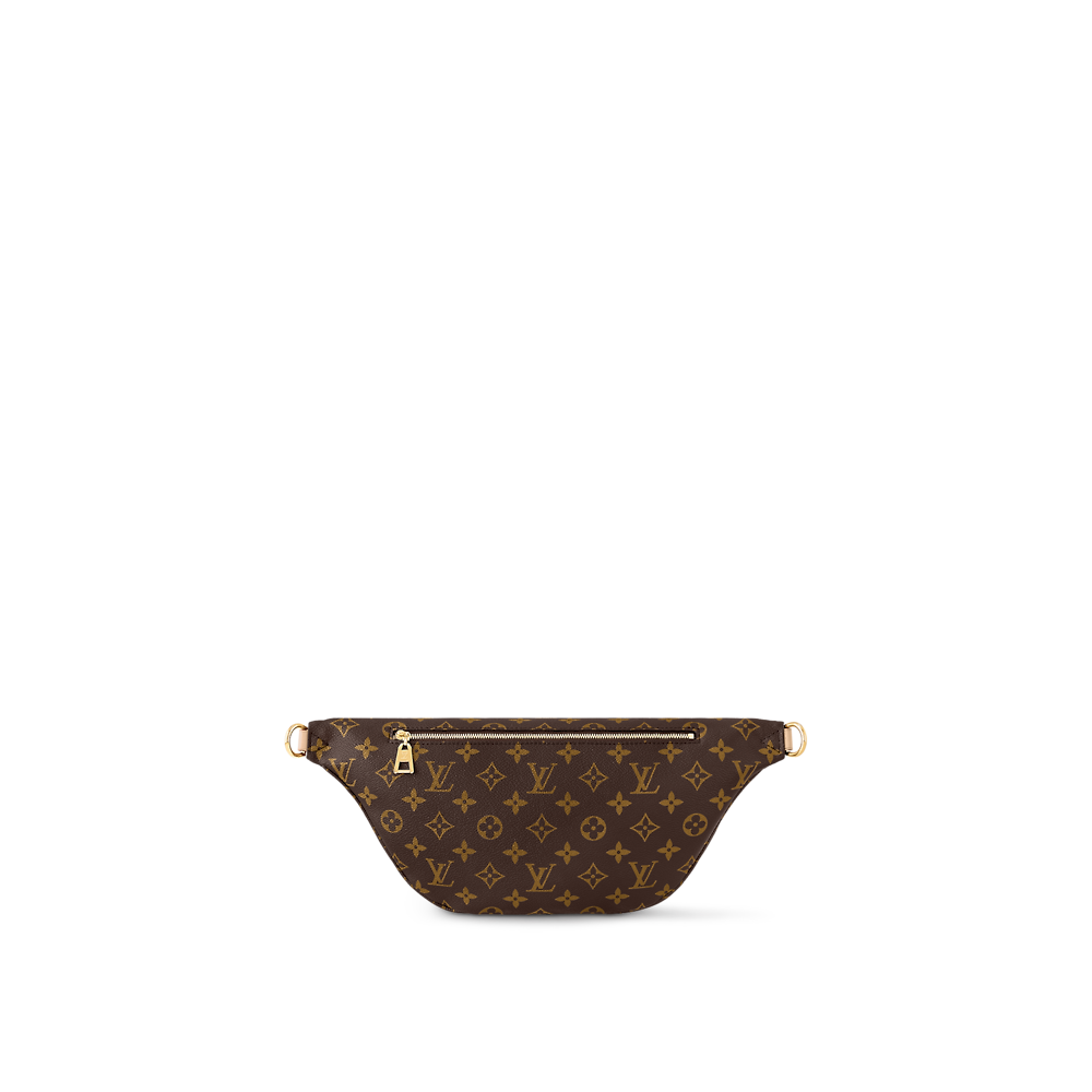 Louis Vuitton HIGH RISE Belt Bag M46784