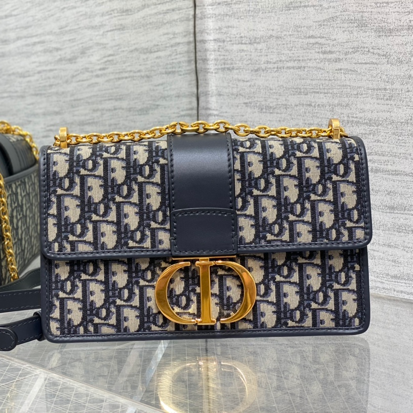 Dior Montaigne Chain Bag Large