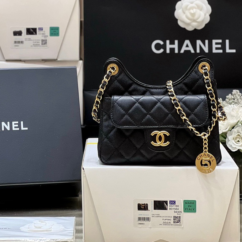 Chanel 23P Spring/Summer Series No. 5 Gold Coin Hobo Hippie Bag 3710