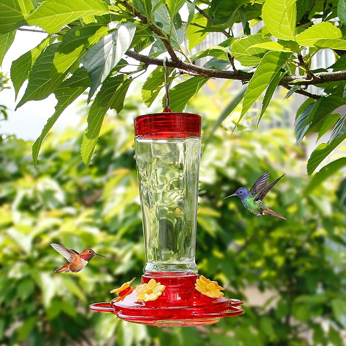 💥Hanging Outdoor Hummingbird Feeder🐦 50% OFF🎁