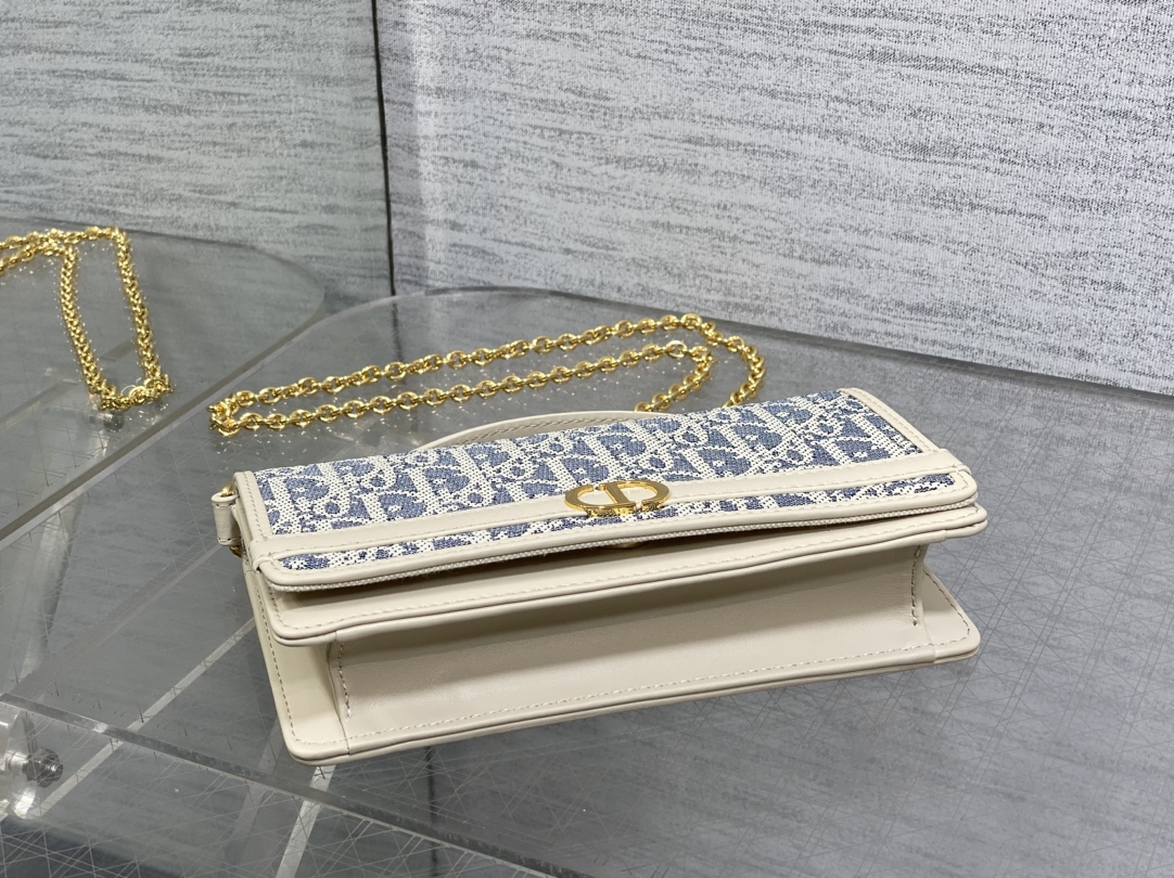 Dior 30 Montaigne Cigale Chain Bag