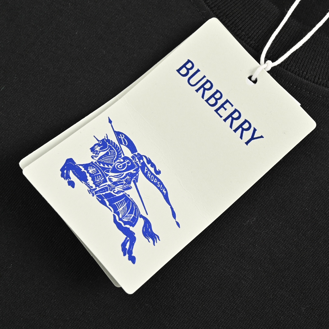 Burberry 24ss warhorse logo short sleeve