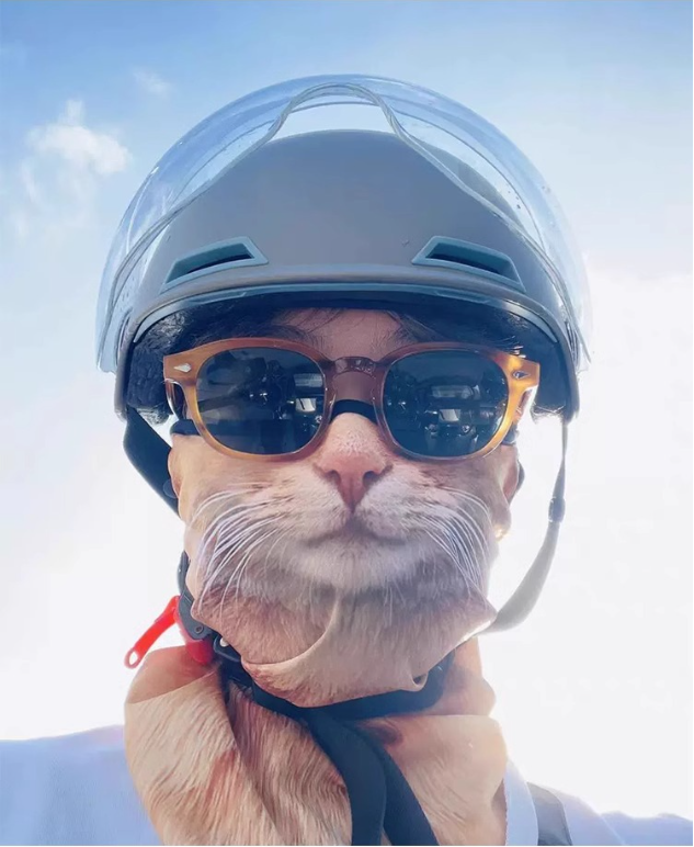 2024 new 3D sun protection ear-hung animal mask