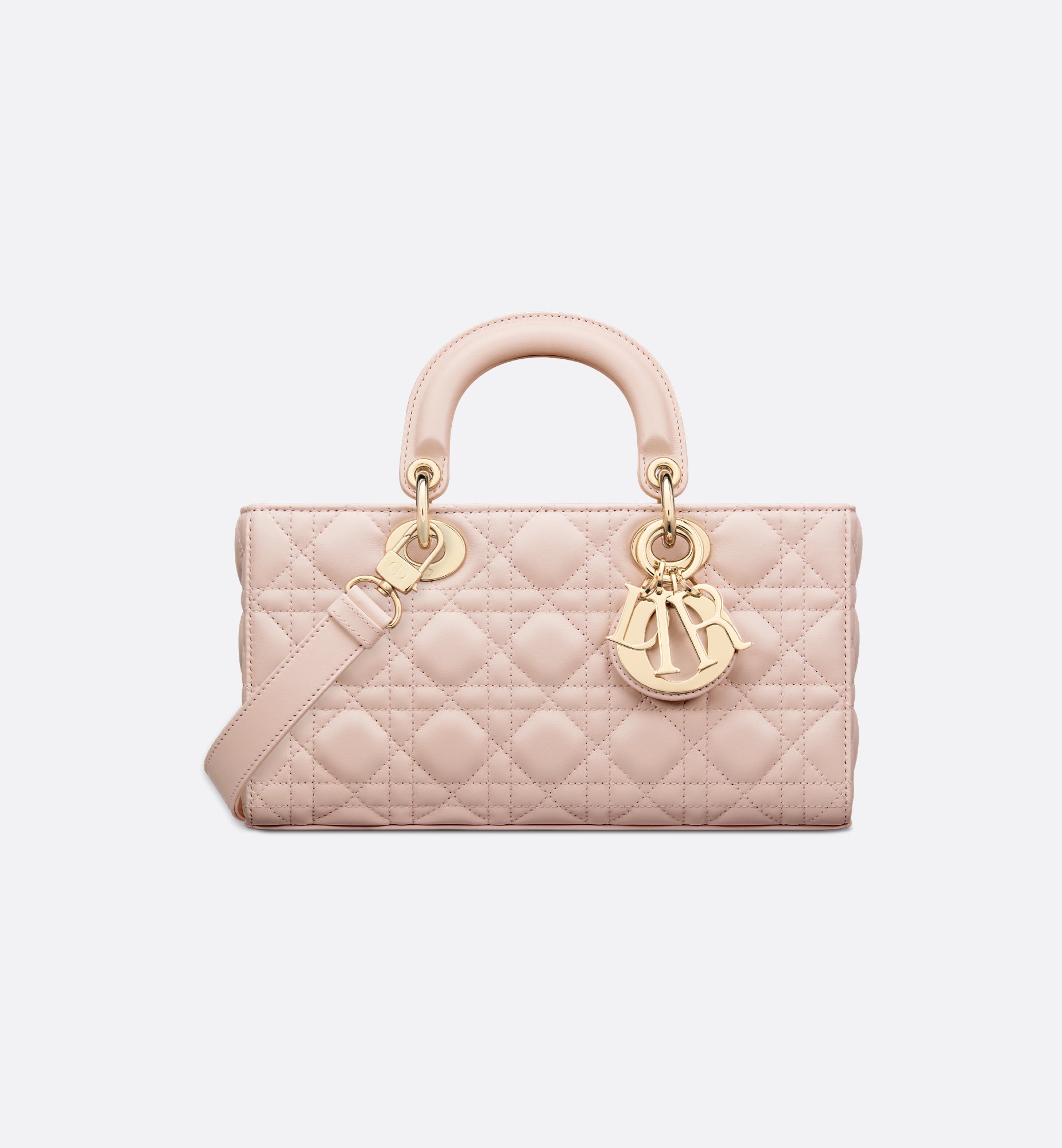Dior Medium Lady D-Joy Bag M0540ONGE_M413