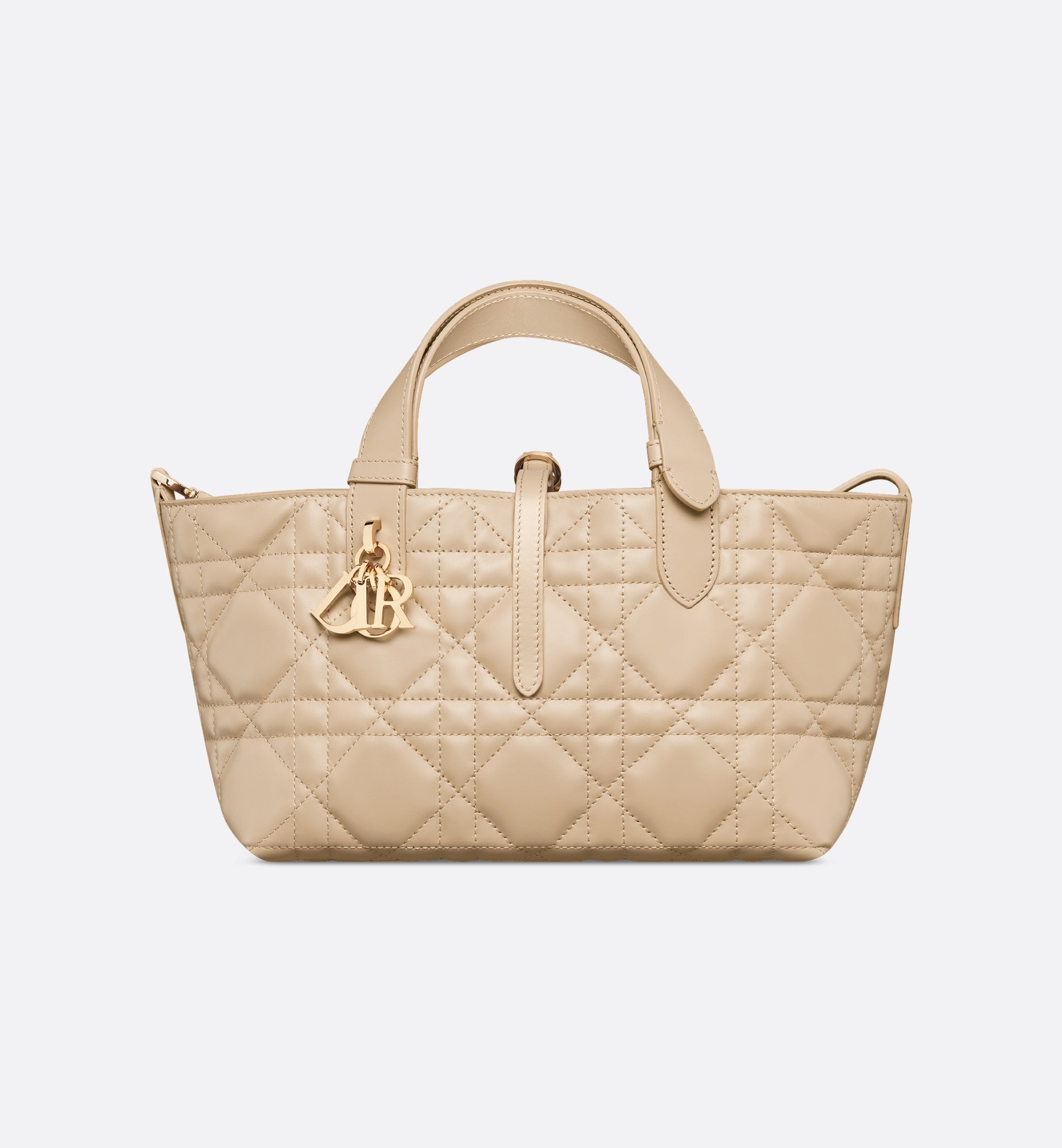 Dior Small Dior Toujours Bag M2822OSNW_M51U