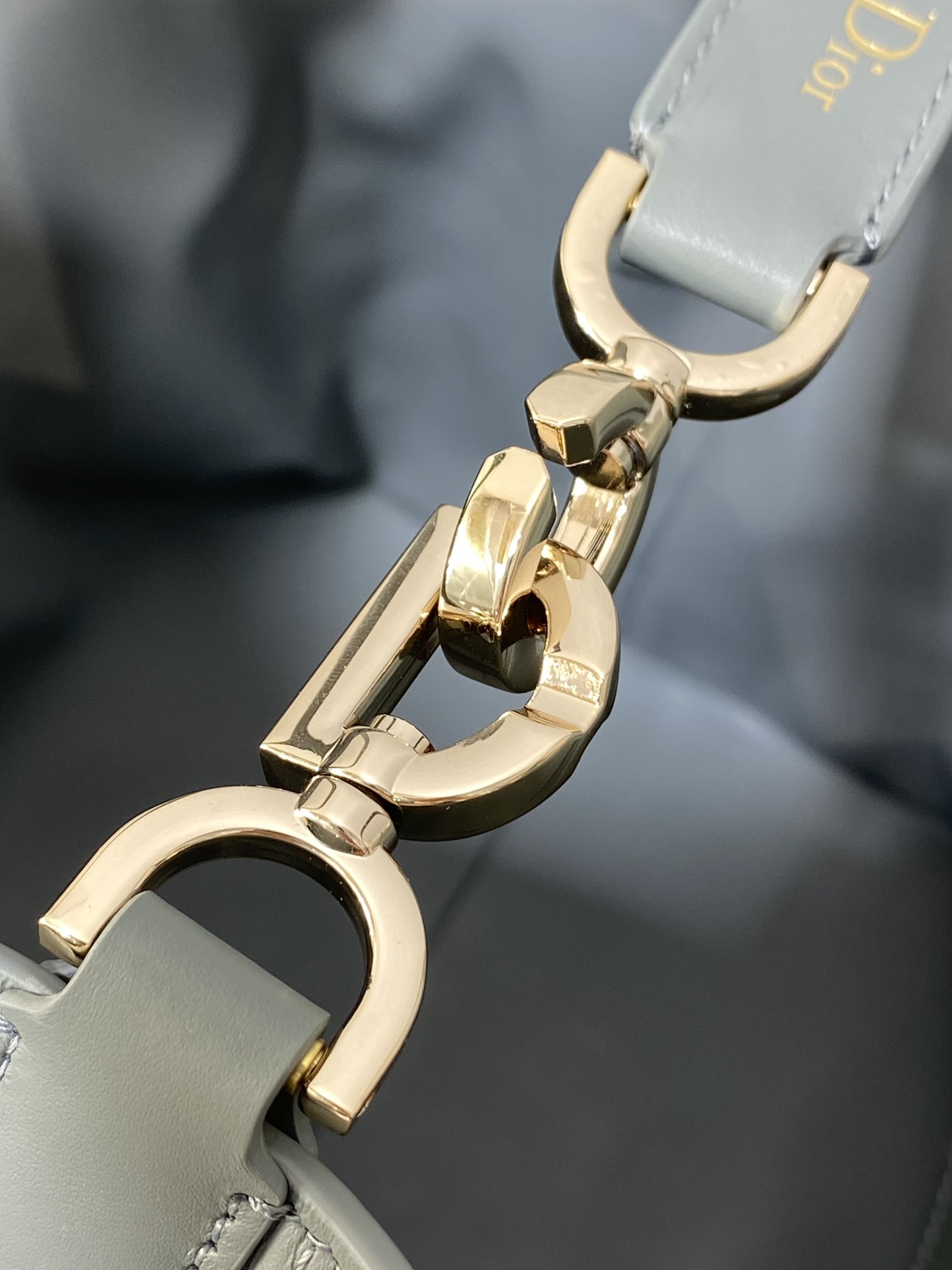 Dior Toujours Vertical Series Medium