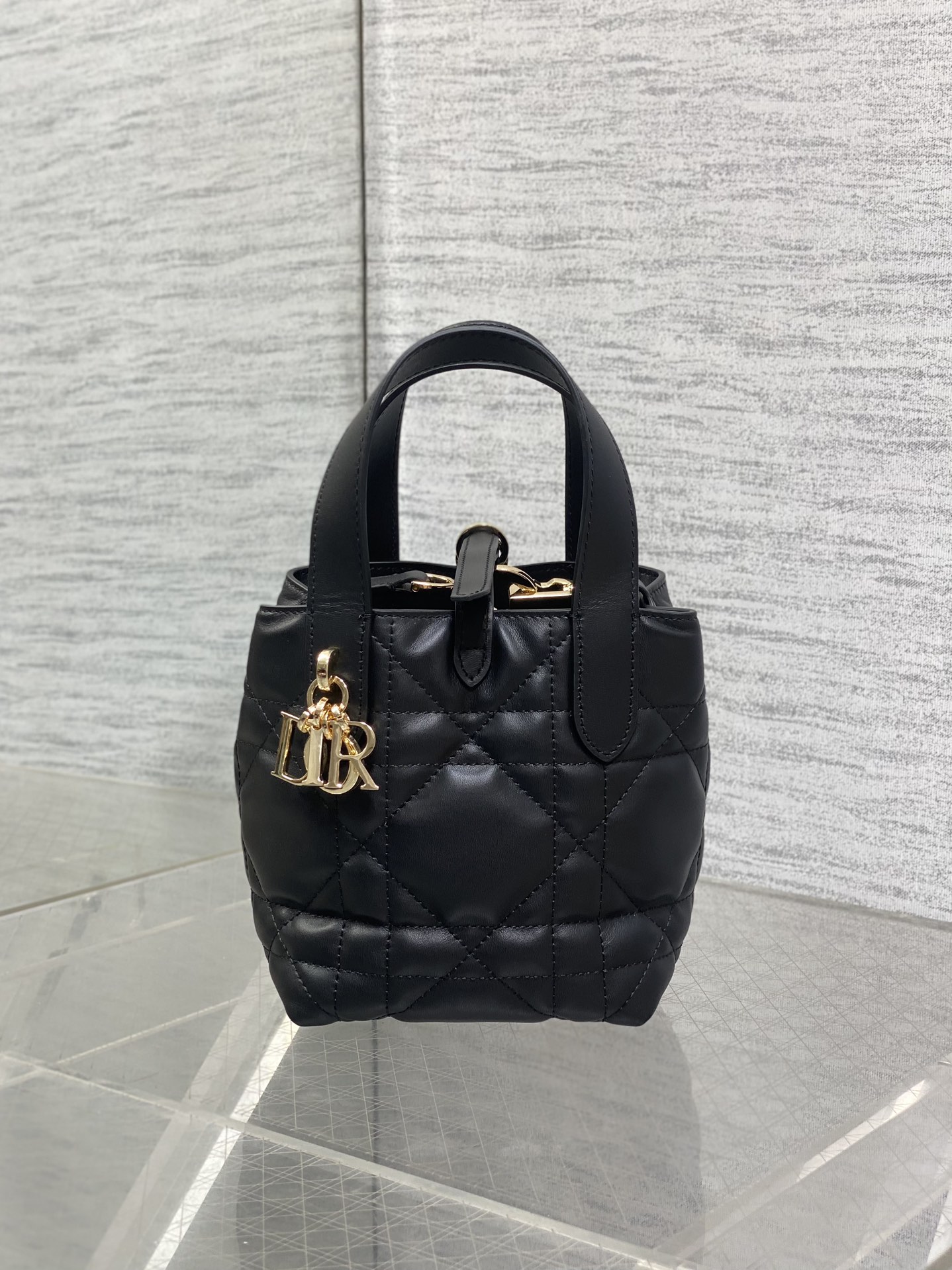 Dior Toujours vertical series mini