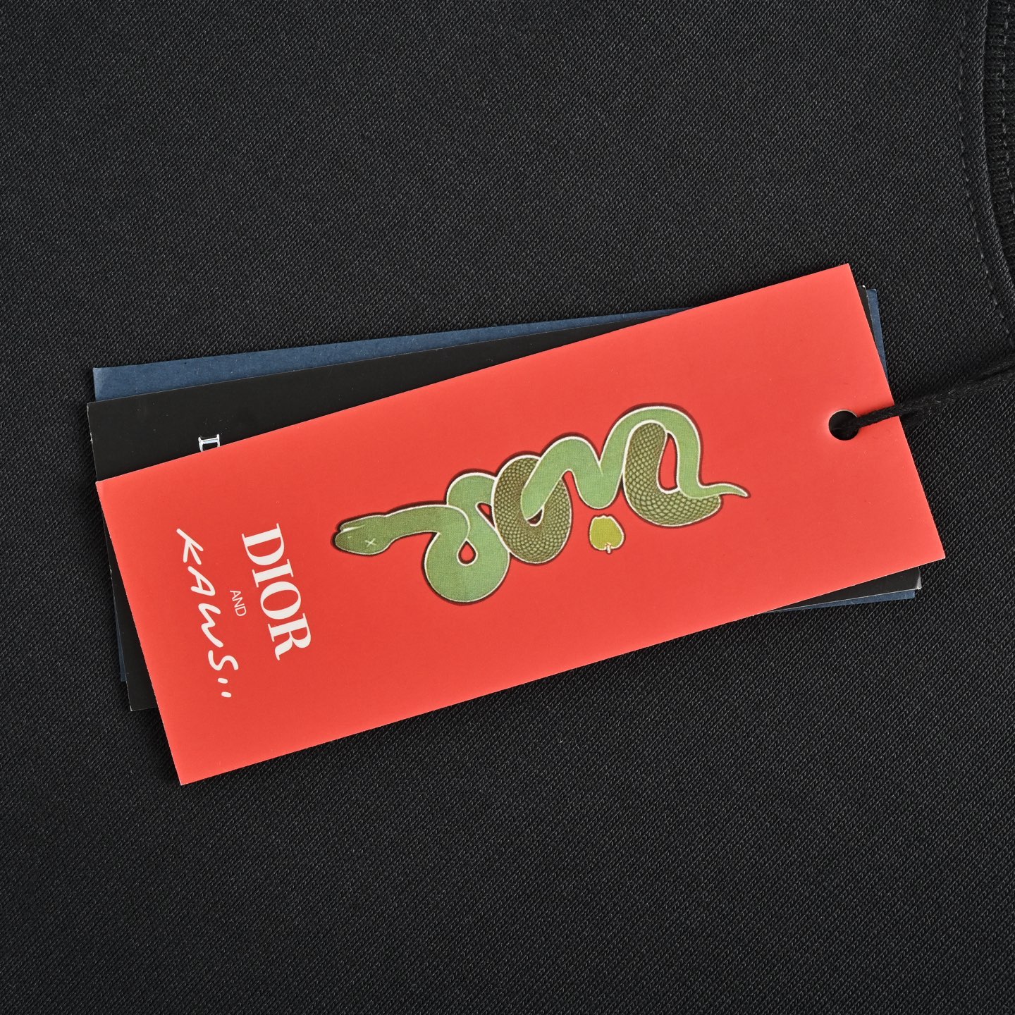 Dior 25ss Year of the Snake Limited Edition Embroidered Short Sleeve