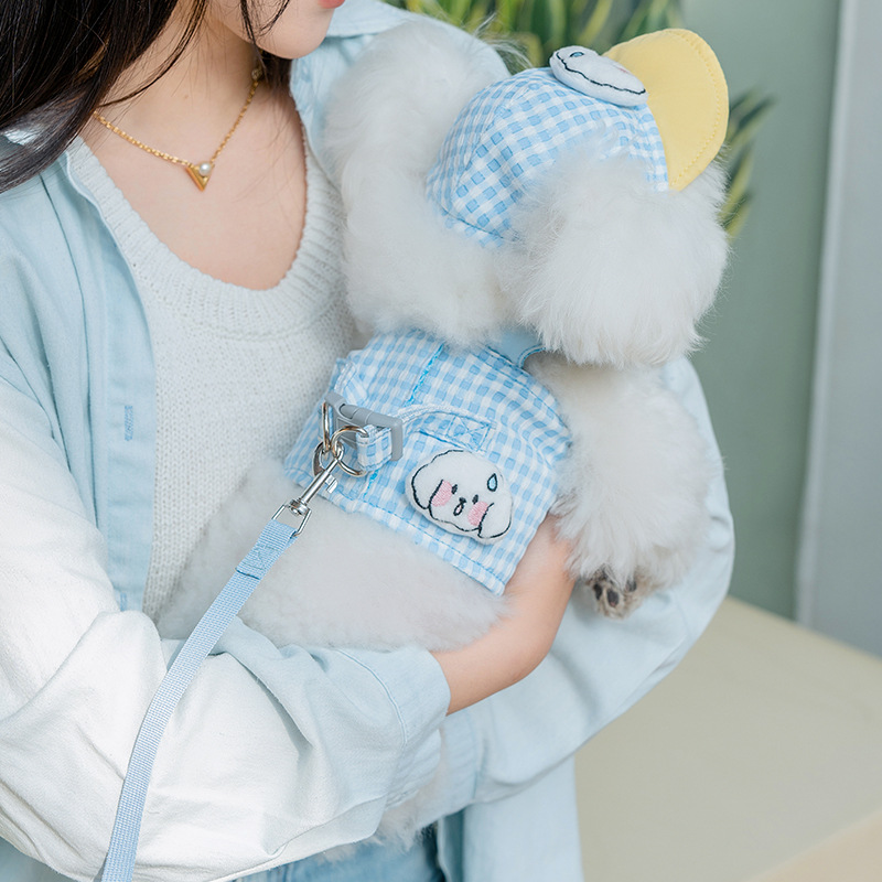 🐶🐾Fashionable dog spring and summer outdoor suit（Unleash Your Pup's Style!）