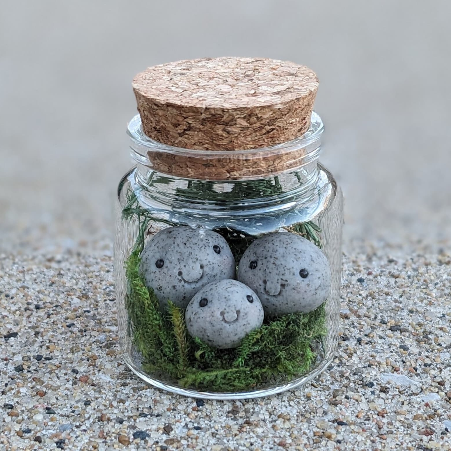 On Sale🔥Adopt A Rock Pet